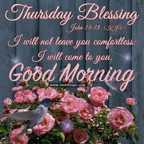 Good Morning Thursday Blessings Quotes And Images Shortquotes Cc