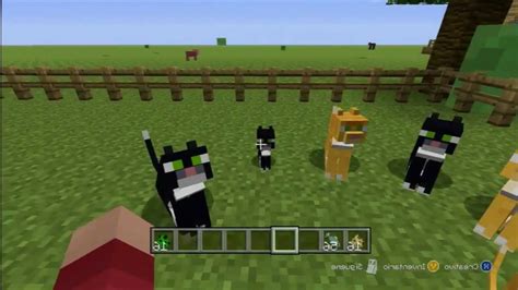 C Mo Domesticar Un Ocelote En Minecraft