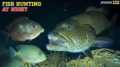 NIGHT SPEARFISHING EPISODE 122 FISH HUNTING AT NIGHT YouTube