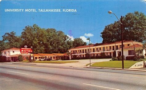 Tallahassee Florida 1960 70s Postcard University Motel United States Florida Tallahassee