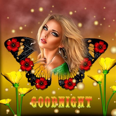 Wienie Coppen S Flowers Goodnight Sunset Butterfy Flowers Goodnight