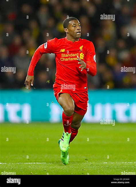 Georginio Wijnaldum Liverpool Stock Photo Alamy