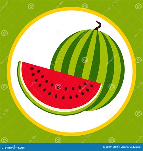 Drawn Stylized Watermelon Fruit Stock Vector Illustration Of