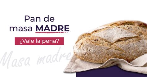 Pan de masa madre vale la pena Nutrición por tu salud