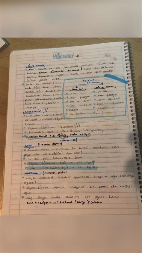 Handwriting aesthetic notes note taking tips neat handwriting college study nutrition anatomy ...