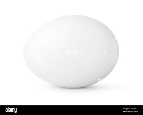 white egg isolated stock photo alamy