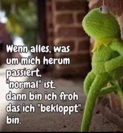 Pin Von Klaus Puppe Auf Frosch Lustige Zitate Und Spr Che Lustig