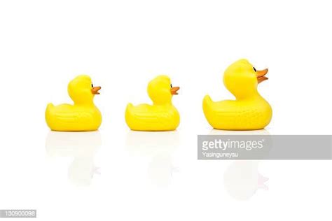 Rubber Ducks In A Row Photos And Premium High Res Pictures Getty Images