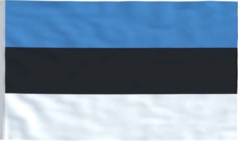 New Age Devi Estlandse Vlag 90x150cm Originele Kleuren Sterke