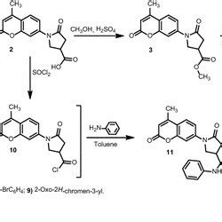 Synthesis Of N Substituted 7 Amino 4 Methyl 2H Chromen 2 Ones 1325