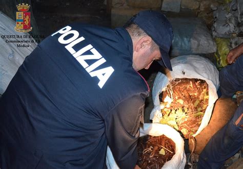 Ladri Di Carrube La Polizia Di Modica Arresta Due Ladri Con Le Mani