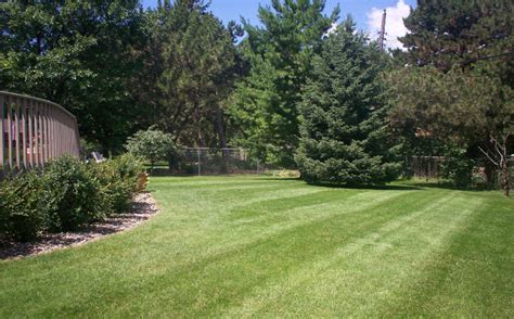 Gallery Diamond Cut Lawn Care