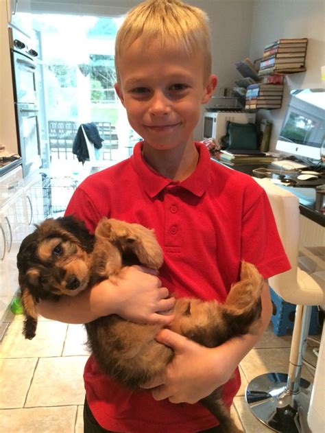 Jj With His New Buddy Doggies Buddy Animals Little Puppies Animales