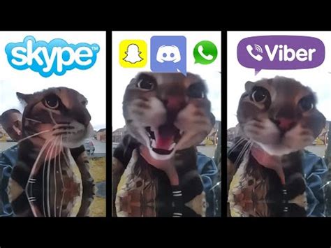 Cat Meows Into Door Camera Meme But Social Media Ringtones YouTube