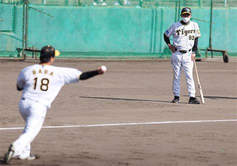 【阪神】岡田監督「そんなん、お前。普通はバントやん」三塁手の動きに疑問抱き指導／一問一答 プロ野球写真ニュース 日刊スポーツ