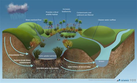 Landscapedna