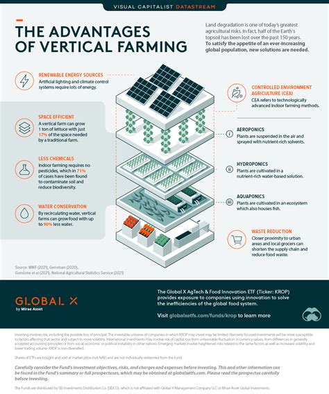 Is Vertical Farming The Future Richest