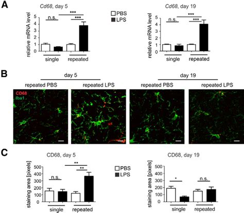 Neurodegeneration By Activation Of The Microglial Complementphagosome