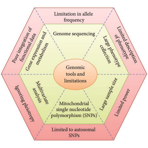 Illustration Of Various Genetic Tools For Detection Of Genetic