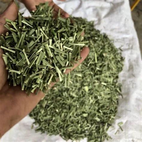 Green Dried Lemongrass Leaves Packaging Type Plastic Packaging Size