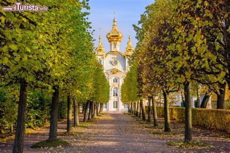 Il Viale Alberato Che Conduce Al Gran Palazzo Foto Petergof Peterhof