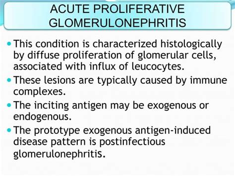 Glomerular Diseases Ppt