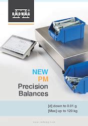 C32 35 PM Precision Balance Radwag Laboratory And Industrial