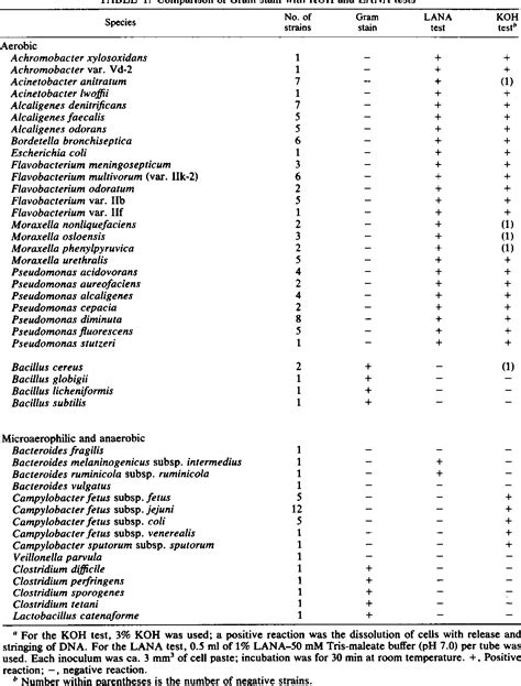 Gram Positive Vs Gram Negative Bacteria Chart Gram Positive Bacteria