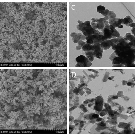 Sem Images Of A Zno R Nps And B Zno Std Nps Tem Images Of C