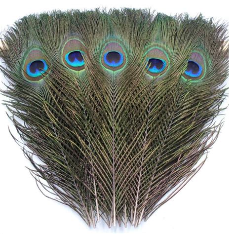 Plumas Naturales De Pavo Real100 Pcs Cola De Pavo Real Etsy