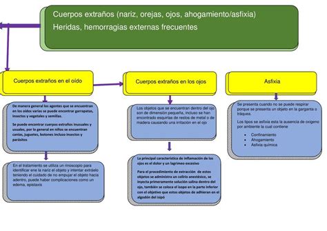 Resumen De Cuerpos Extra Os Darlyn Paredes Udocz