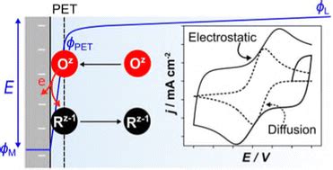 Simulation Of The Cyclic Voltammetric Response Of An Outer Sphere Redox