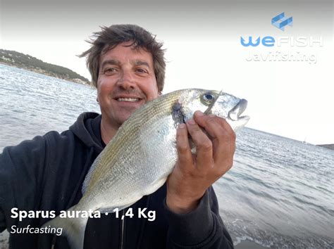 Tipos De Pesca En Wefish La Mejor App De Pesca