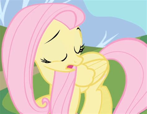 Image - Fluttershy shy01.gif - Spinpasta Wiki - Wikia