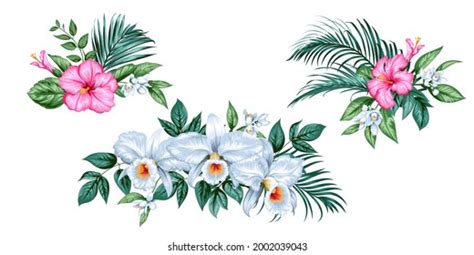 Set Tropical Bunches Orchids Hibiscus Flowers Stock Vector (Royalty Free) 2002039043 | Shutterstock