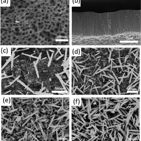 FESEM Images Of A Top View And B Cross Sectional View Of TiO 2