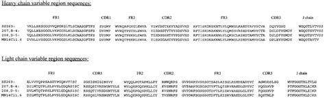 Comparison Of The Amino Acid Sequences Of The V H And V L Genes Of