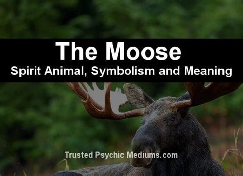 The Moose Spirit Animal A Complete Guide To Meaning And Symbolism Artofit