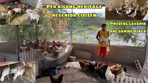 PER KILONG HERITAGE SA MANOKAN NI SENIOR CETIZEN MAGKANO BA ANG GANDA