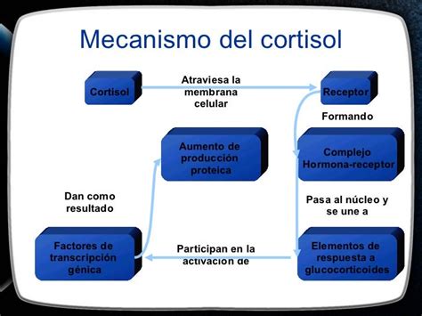 Cortisol