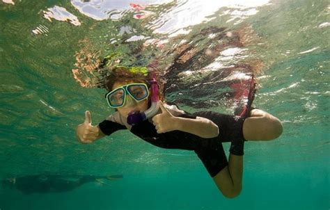 Snorkeling Tioman Malaysia Living Nomads Travel Tips Guides