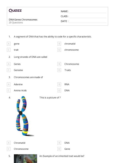 50 Chromosome Structure And Numbers Worksheets For 12th Grade On