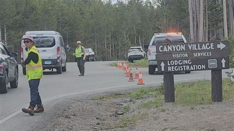 Yellowstone National Park Releases New Details In Officer Involved Shooting