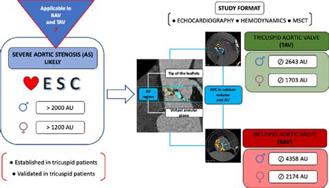 Sex Specific Differences In Aortic Valve Calcification Between Bicuspid And Tricuspid Severe