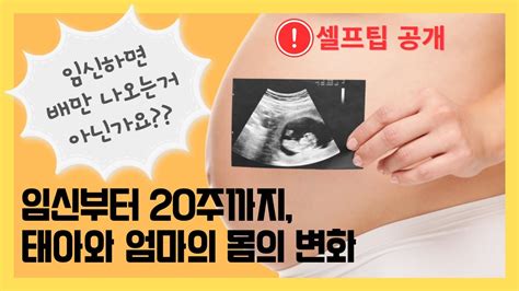 임신 주차별 임신~20주 태아와 엄마의 변화 및 셀프팁 공개 ㅣ기미 검버섯 색소침착 변비까지 임신 후 갑작스런