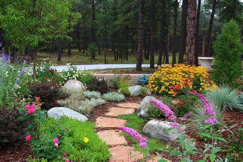 Xeriscape In Colorado Google Search Xeriscape Xeriscape