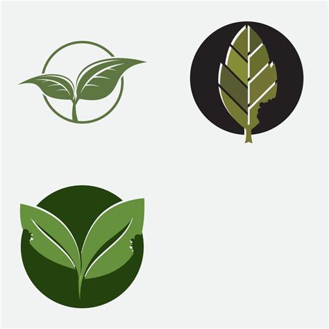 leaf vector illustration design icon logo 17224990 Vector Art at Vecteezy