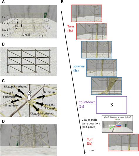 Figure 1 From Multivoxel Pattern Analysis Reveals 3D Place Information