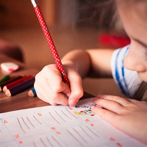 Preguntas De Cultura General Para Ni Os De Primaria Con Sus