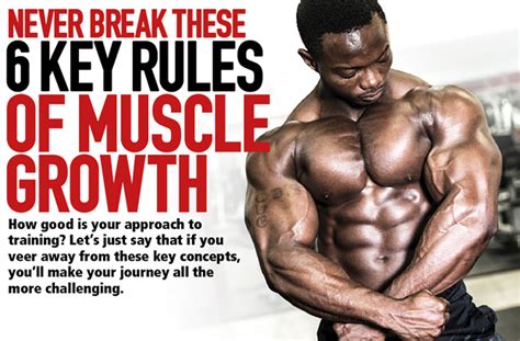 6 Rules Of Muscle Growth Muscle Insider